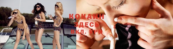 тгк Алзамай