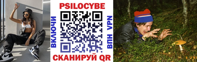 OMG как войти  Протвино  Галлюциногенные грибы GOLDEN TEACHER 
